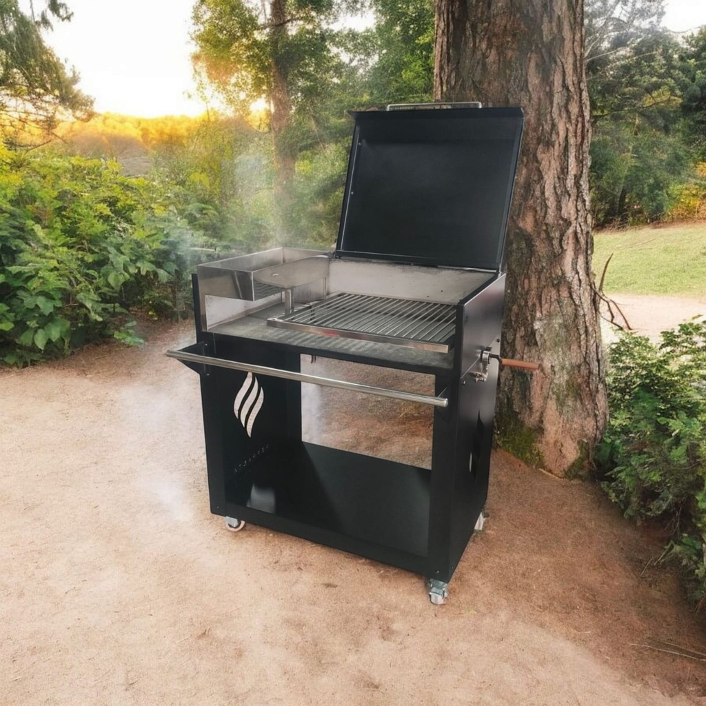 PARRILLA MOVIL